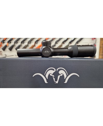 Blaser B2 1-6x24